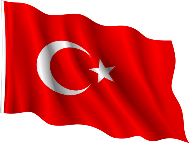 Ponje Türk Bayrağı